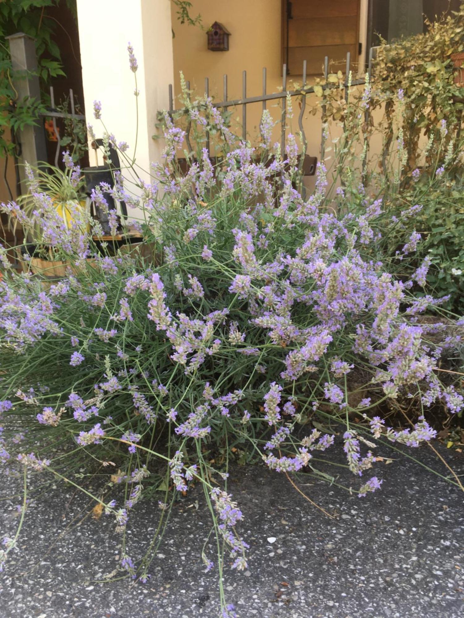B&B Ca Biocco Sogliano al Rubicone 外观 照片