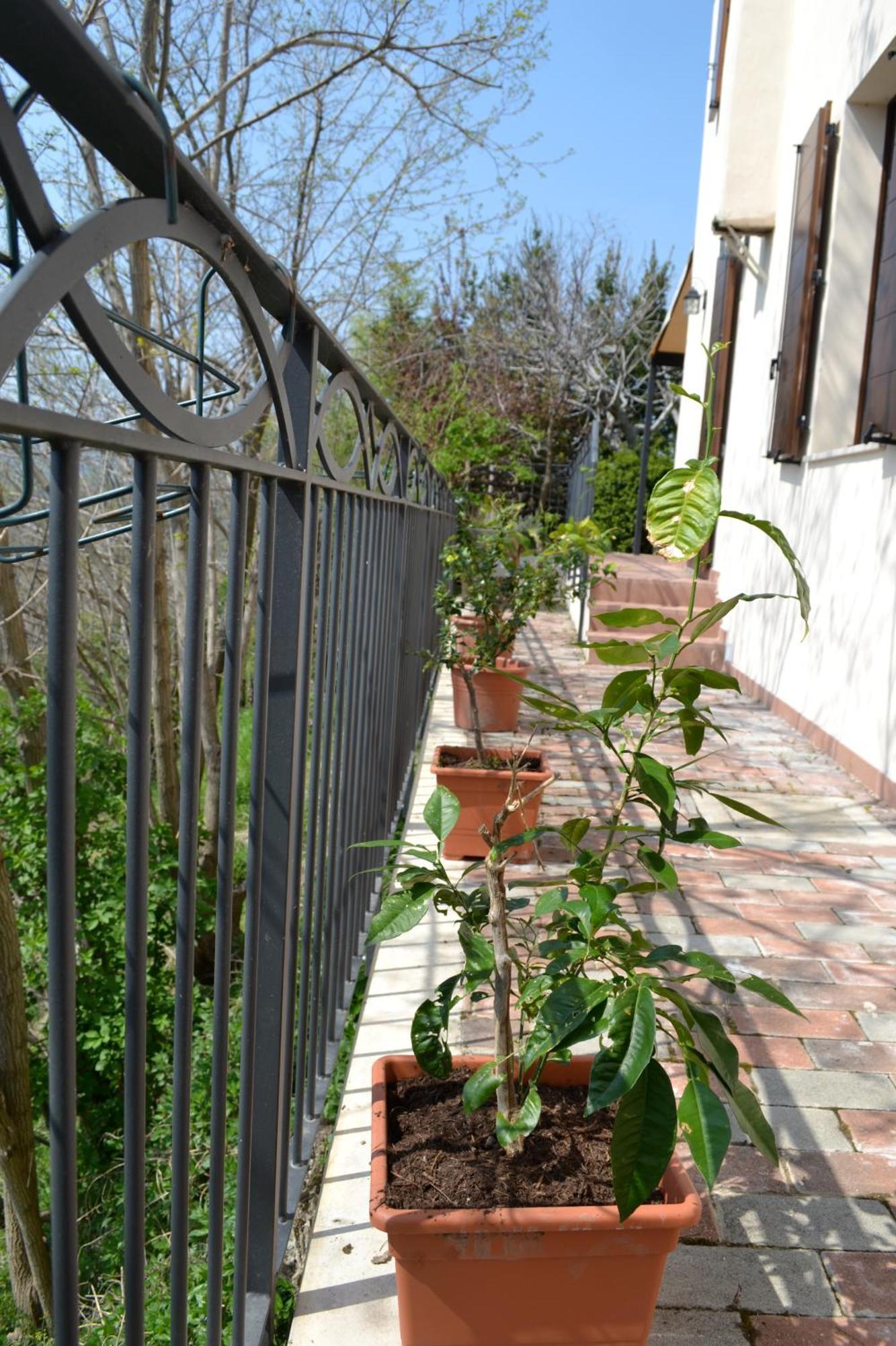 B&B Ca Biocco Sogliano al Rubicone 外观 照片
