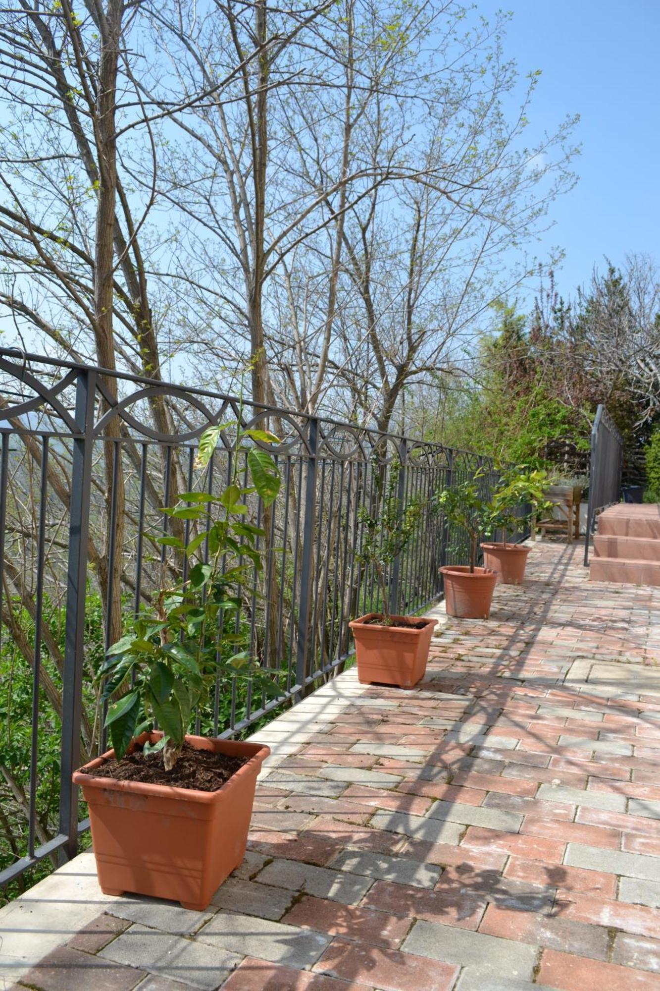 B&B Ca Biocco Sogliano al Rubicone 外观 照片