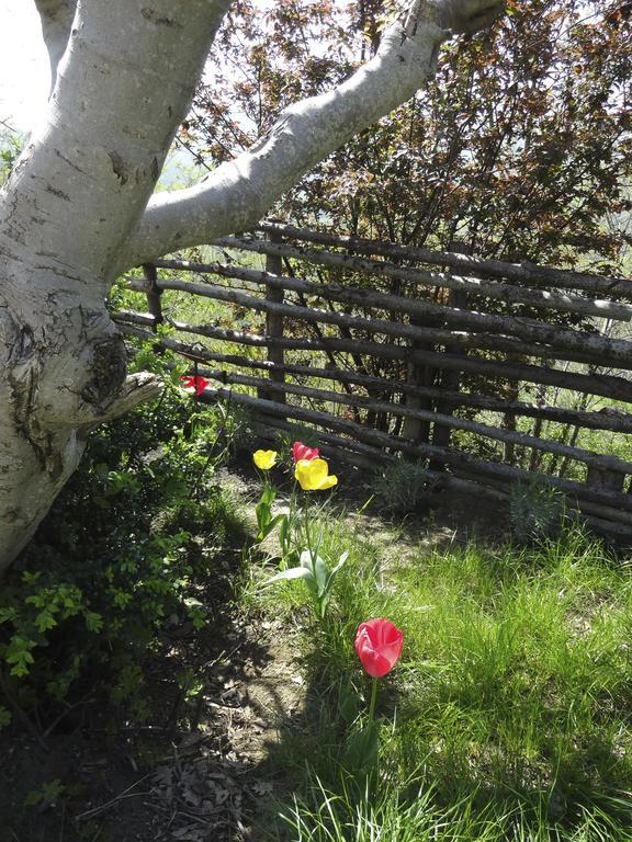 B&B Ca Biocco Sogliano al Rubicone 外观 照片