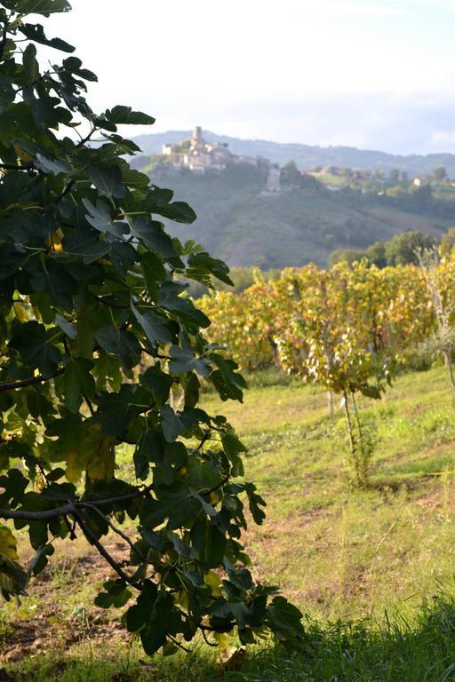 B&B Ca Biocco Sogliano al Rubicone 外观 照片